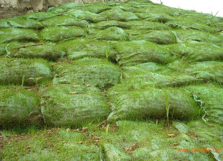 植生袋